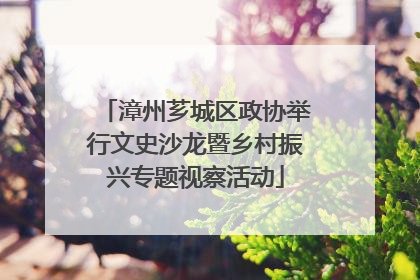 漳州芗城区政协举行文史沙龙暨乡村振兴专题视察活动