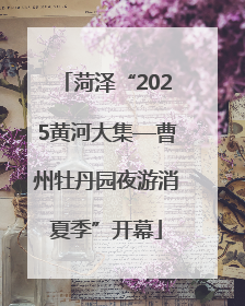 菏泽“2025黄河大集—曹州牡丹园夜游消夏季”开幕