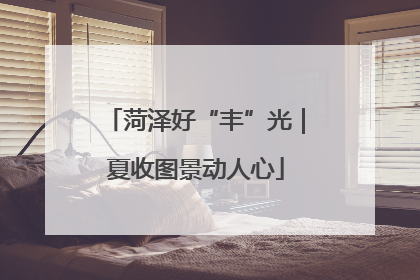 菏泽好“丰”光｜夏收图景动人心