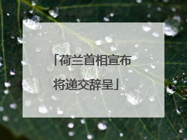 荷兰首相宣布将递交辞呈