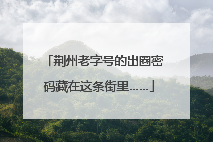 荆州老字号的出圈密码藏在这条街里……
