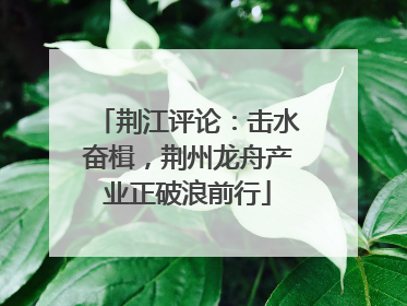 荆江评论：击水奋楫，荆州龙舟产业正破浪前行