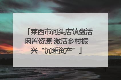 莱西市河头店镇盘活闲置资源 激活乡村振兴“沉睡资产”
