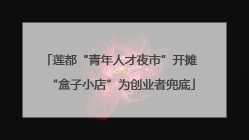 莲都“青年人才夜市”开摊 “盒子小店”为创业者兜底