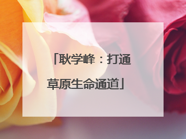 耿学峰：打通草原生命通道