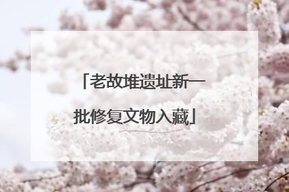 老故堆遗址新一批修复文物入藏