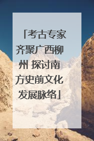 考古专家齐聚广西柳州 探讨南方史前文化发展脉络