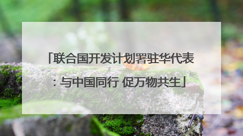 联合国开发计划署驻华代表：与中国同行 促万物共生