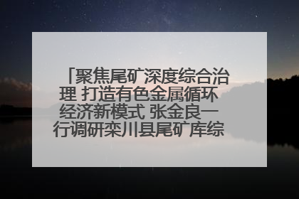 聚焦尾矿深度综合治理 打造有色金属循环经济新模式 张金良一行调研栾川县尾矿库综合治理工作