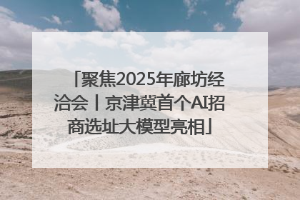 聚焦2025年廊坊经洽会丨京津冀首个AI招商选址大模型亮相