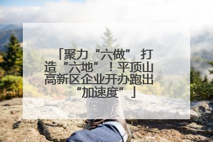 聚力“六做” 打造“六地”！平顶山高新区企业开办跑出“加速度”