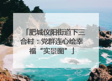 肥城仪阳街道下三合村：党群连心绘幸福“实景图”