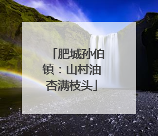 肥城孙伯镇：山村油杏满枝头
