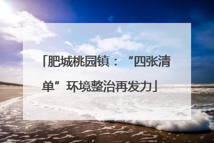 肥城桃园镇：“四张清单”环境整治再发力