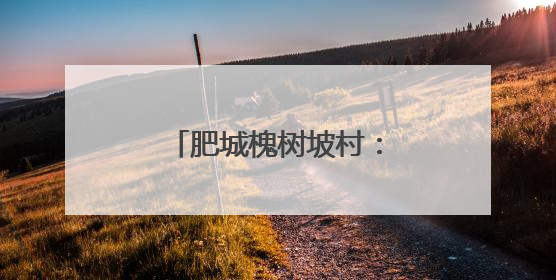 肥城槐树坡村：槐坡风动绿藤新