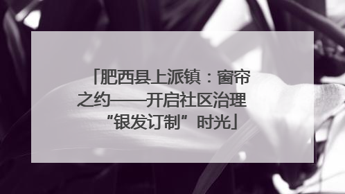 肥西县上派镇：窗帘之约——开启社区治理“银发订制”时光
