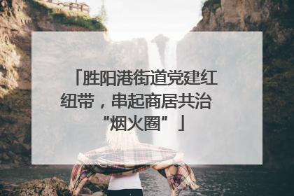 胜阳港街道党建红纽带，串起商居共治 “烟火圈”