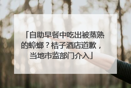自助早餐中吃出被蒸熟的蟑螂？桔子酒店道歉，当地市监部门介入