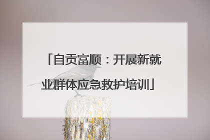 自贡富顺：开展新就业群体应急救护培训