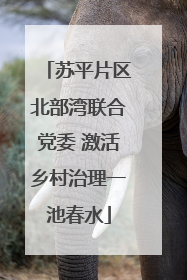 苏平片区北部湾联合党委 激活乡村治理一池春水