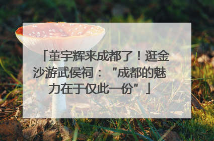董宇辉来成都了！逛金沙游武侯祠：“成都的魅力在于仅此一份”