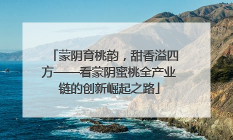 蒙阴育桃韵，甜香溢四方——看蒙阴蜜桃全产业链的创新崛起之路