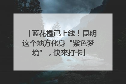 蓝花楹已上线！昆明这个地方化身“紫色梦境”，快来打卡