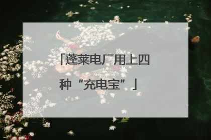 蓬莱电厂用上四种“充电宝”