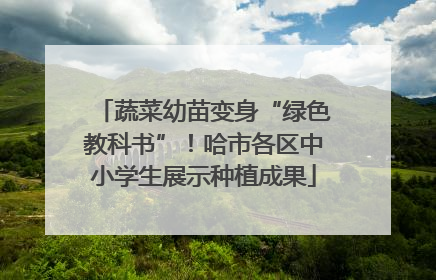 蔬菜幼苗变身“绿色教科书”！哈市各区中小学生展示种植成果