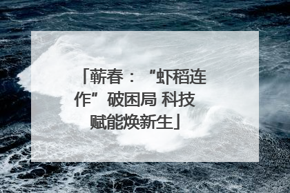 蕲春：“虾稻连作”破困局 科技赋能焕新生