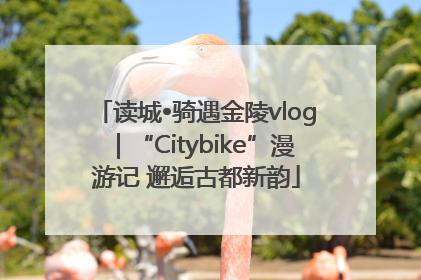 读城•骑遇金陵vlog｜“Citybike”漫游记 邂逅古都新韵
