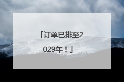 订单已排至2029年！