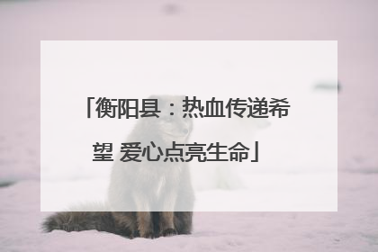 衡阳县：热血传递希望 爱心点亮生命