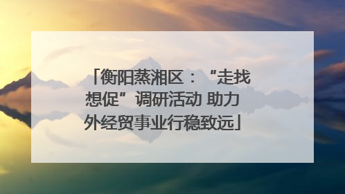 衡阳蒸湘区：“走找想促”调研活动 助力外经贸事业行稳致远