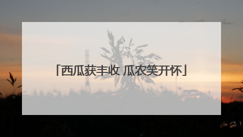 西瓜获丰收 瓜农笑开怀