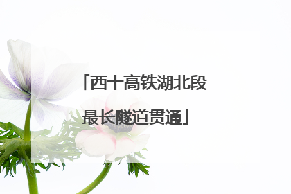 西十高铁湖北段最长隧道贯通