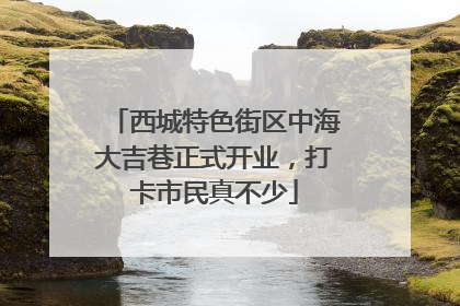 西城特色街区中海大吉巷正式开业，打卡市民真不少