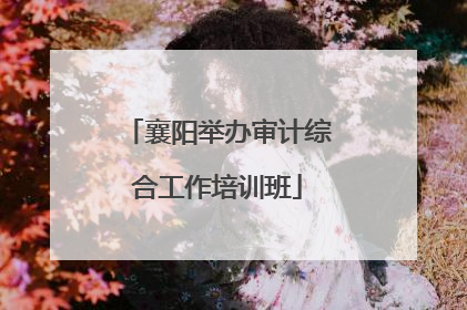 襄阳举办审计综合工作培训班