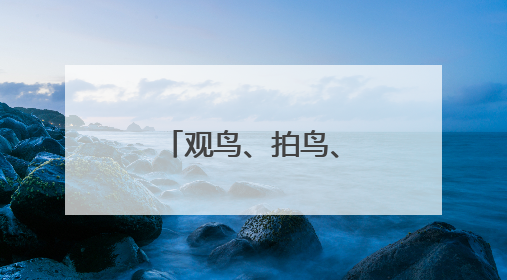 观鸟、拍鸟、爱鸟的“勺子王”李东明