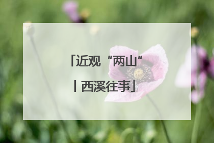 近观“两山”丨西溪往事