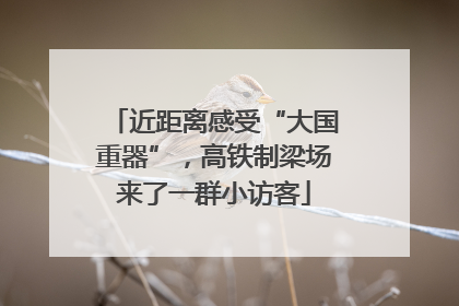 近距离感受“大国重器”，高铁制梁场来了一群小访客