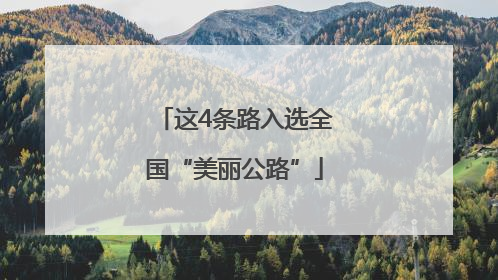 这4条路入选全国“美丽公路”