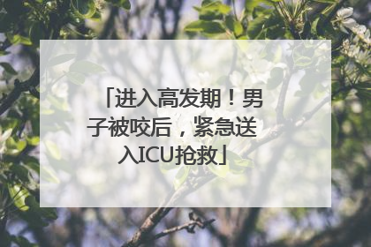 进入高发期！男子被咬后，紧急送入ICU抢救