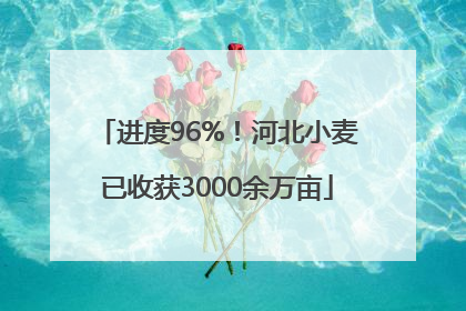 进度96%！河北小麦已收获3000余万亩