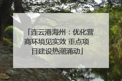 连云港海州：优化营商环境见实效 重点项目建设热潮涌动