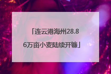连云港海州28.86万亩小麦陆续开镰