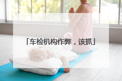 车检机构作弊，该抓