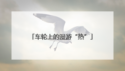 车轮上的漫游“热”
