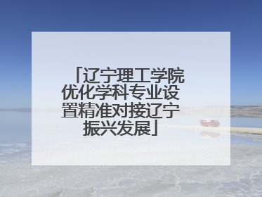 辽宁理工学院优化学科专业设置精准对接辽宁振兴发展