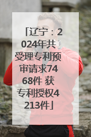 辽宁：2024年共受理专利预审请求7468件 获专利授权4213件